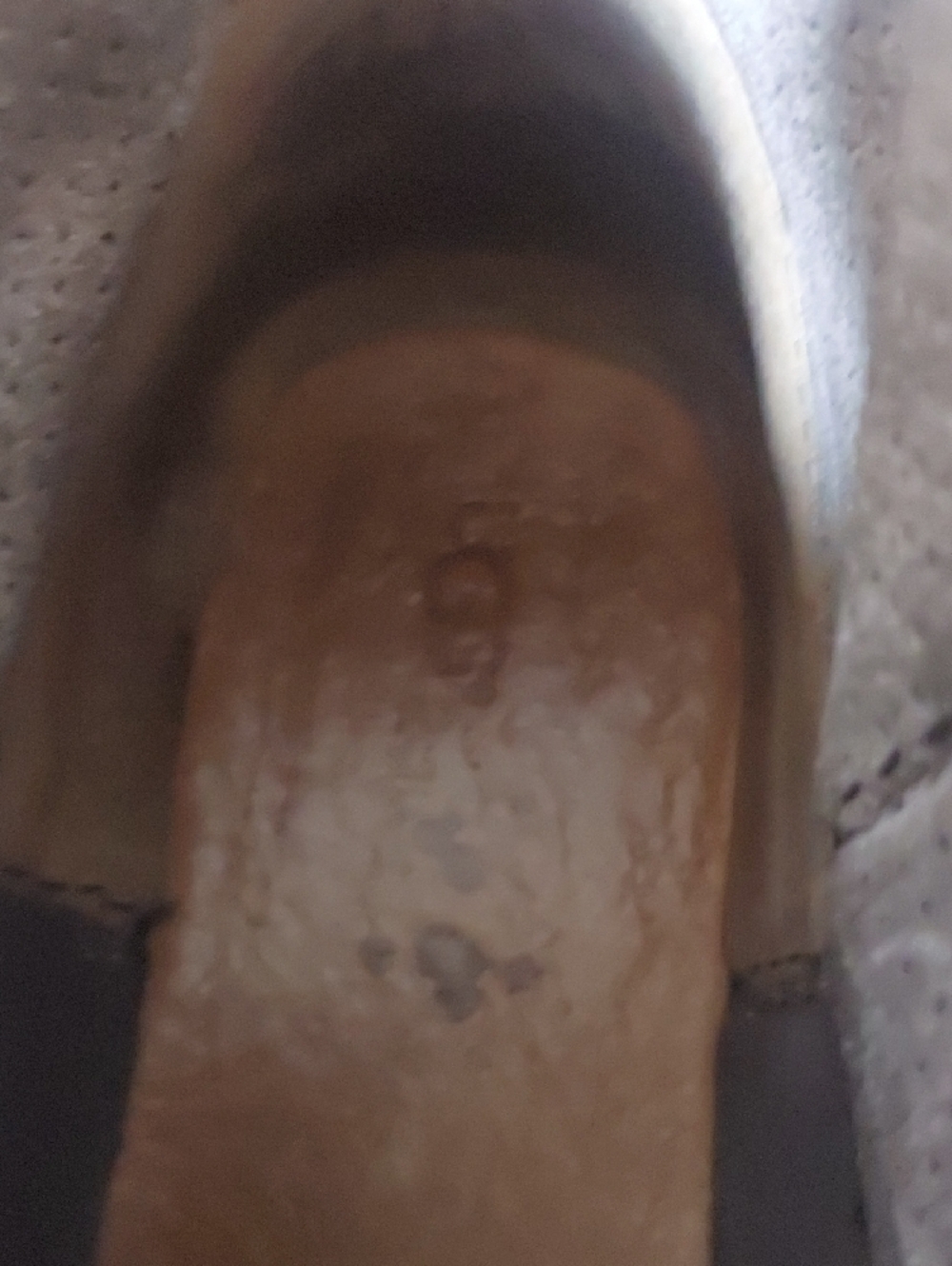 UGG Short Suede Ankle Boots in Grey-Taupe - Picture 12 of 15